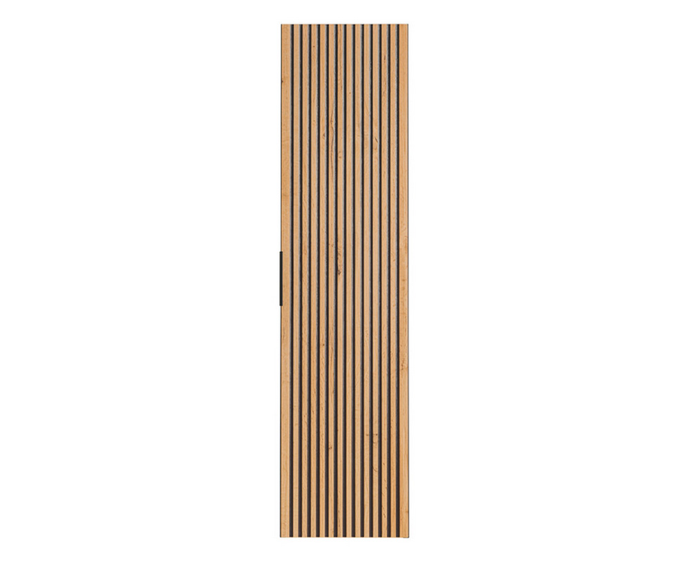 Obrázek 1